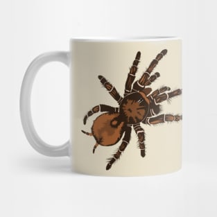 Goliath Bird Eating Spider Mug